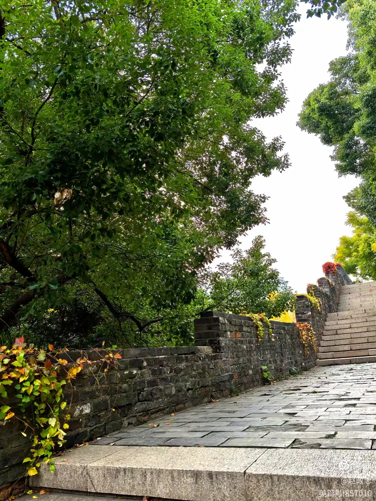 常州西瀛里明城墙:深秋浅冬的色彩盛宴